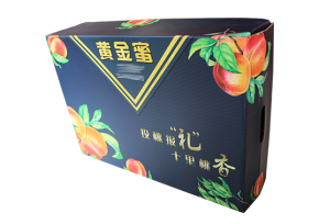 大连彩印韩漫漫画网